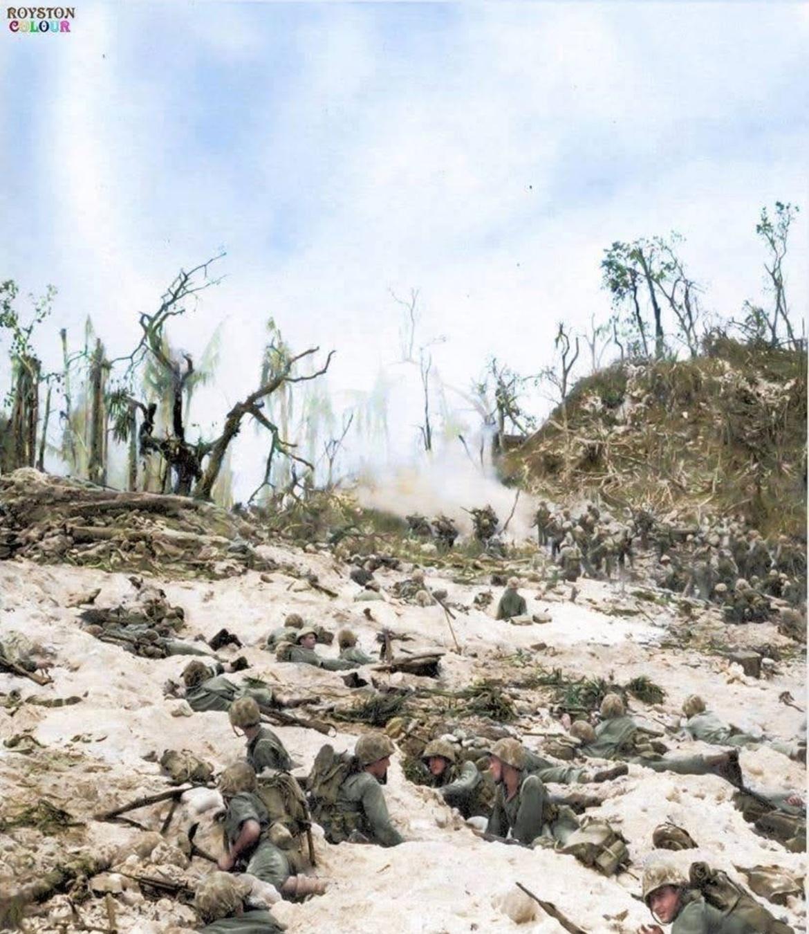 美国海军陆战队第1师（绰号“老兵团”/TheOldBreed）于1944年9
