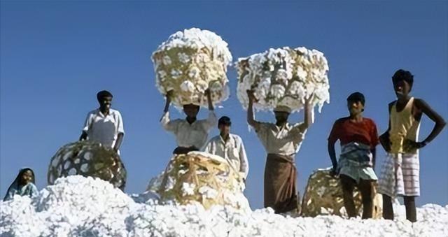 印度对中国玩“鬼把戏”？将棉花低价卖给中国，再高价买回去，印度的这一操作简直太神