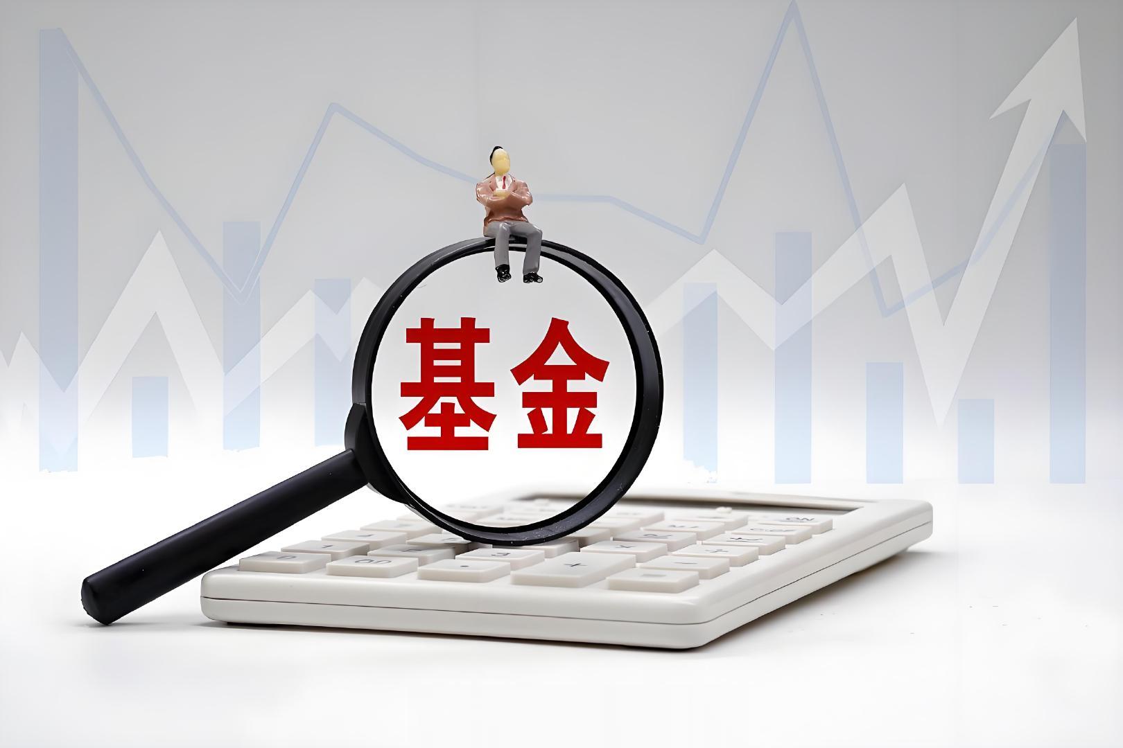 杨德龙: 《推动公募基金高质量发展行动方案》高屋建瓴