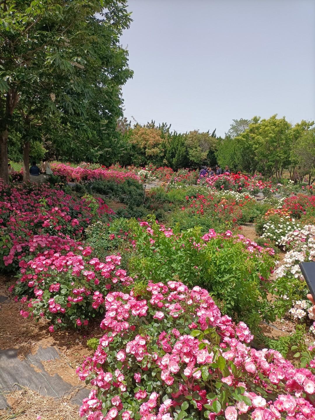 暗箭伤人的美男子郑国大夫公孙阏，字子都，是天下少有的美男子。《诗经》中有句
