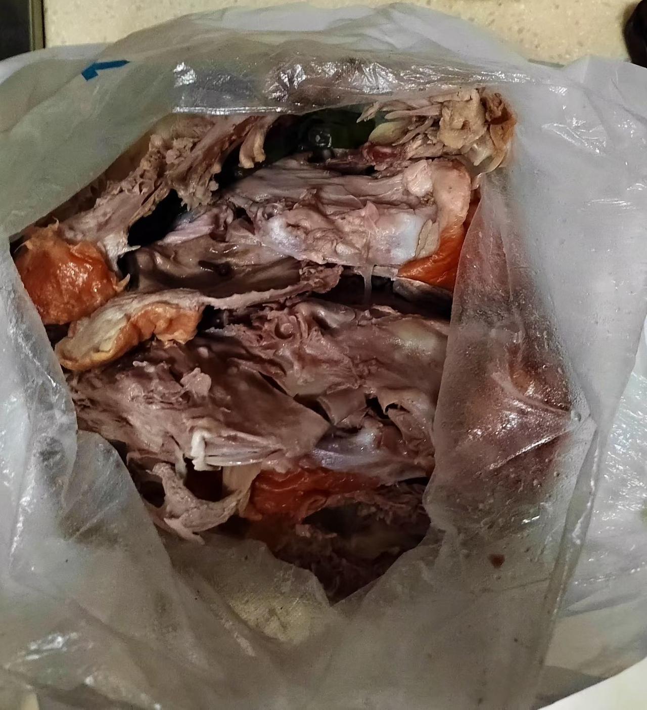 感觉活着不如狗。说来不怕笑话，我现在隔三差五就等着朋友从庐州烤鸭店带鸭架回来。