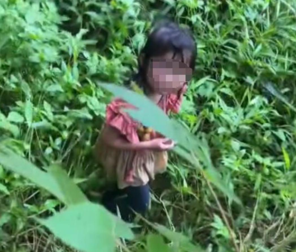 4岁女童白云山失踪20小时，被发现时眼神空洞不哭不闹！真相远比走失更“细思极恐”