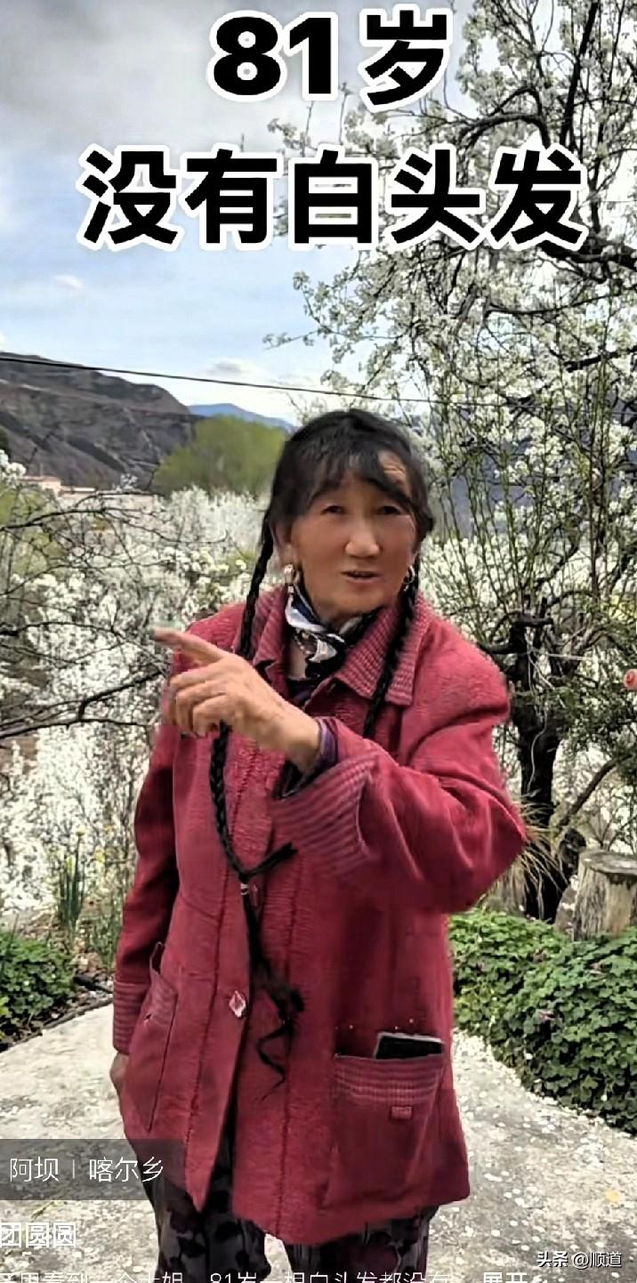 这位老妈妈出生于1945年，81岁了，一根白头发都没有。她说是遗传，她妈妈就没有