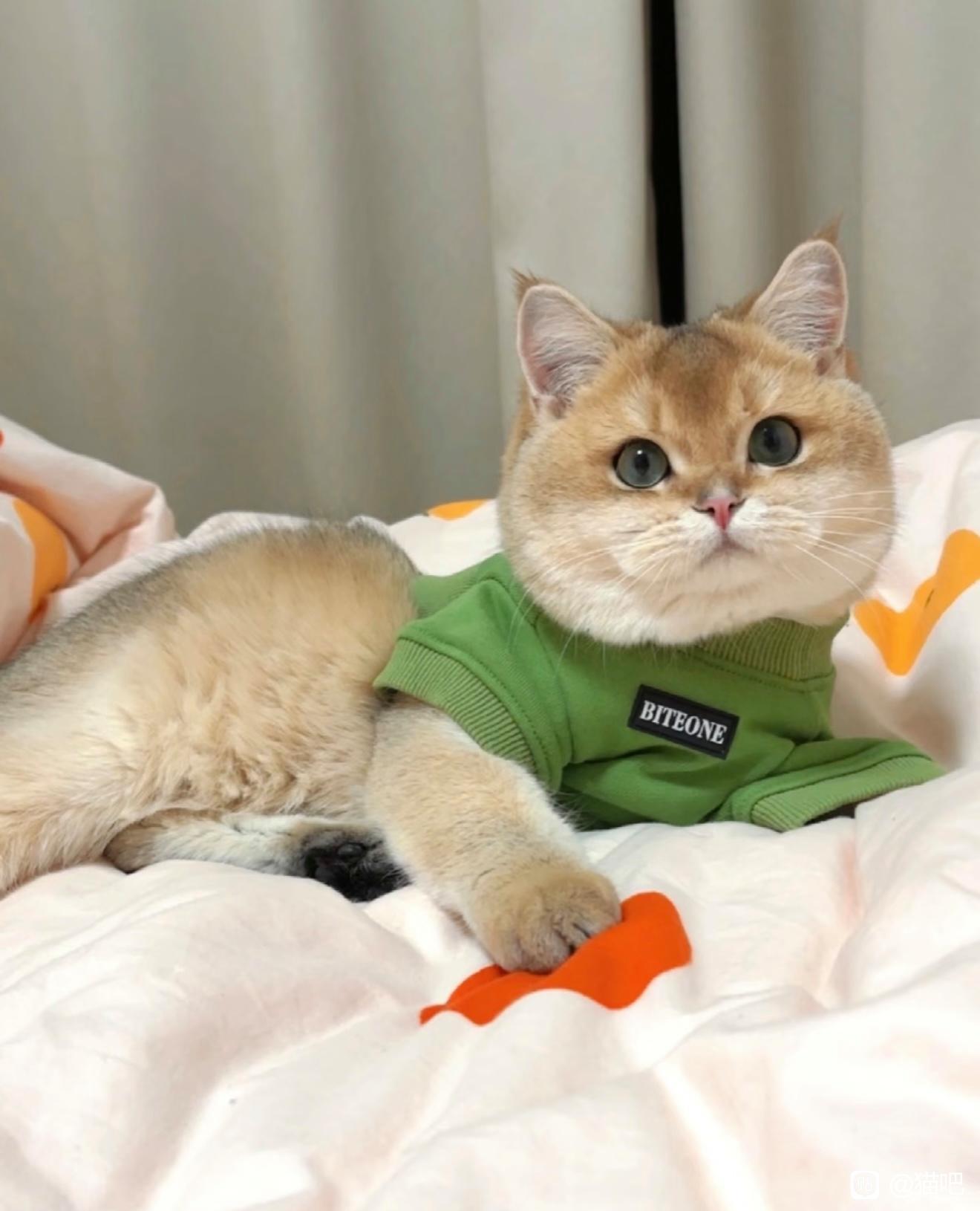 早，周末愉快！