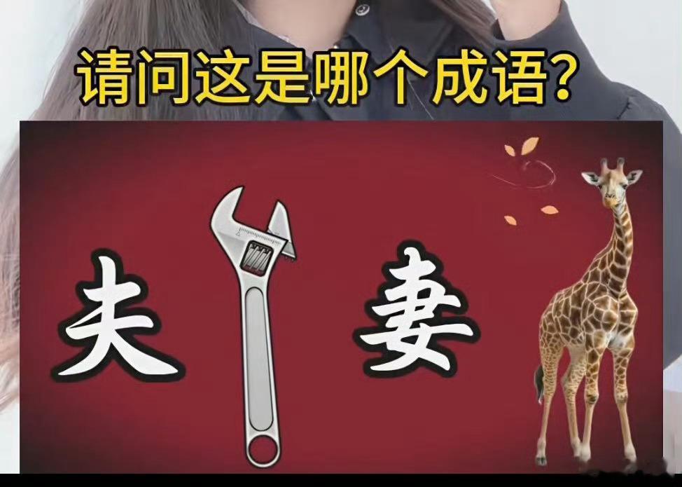 这是什么成语？？？？问豆包它给出的答案是“夫唱妇随”，理由是图中有“夫”、“妻”