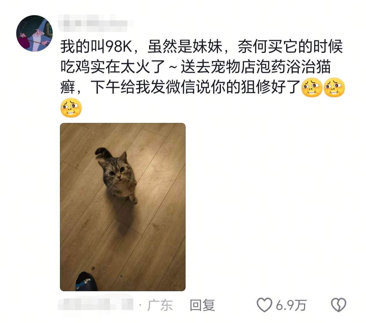宠物在外名字都是别人给的🥹