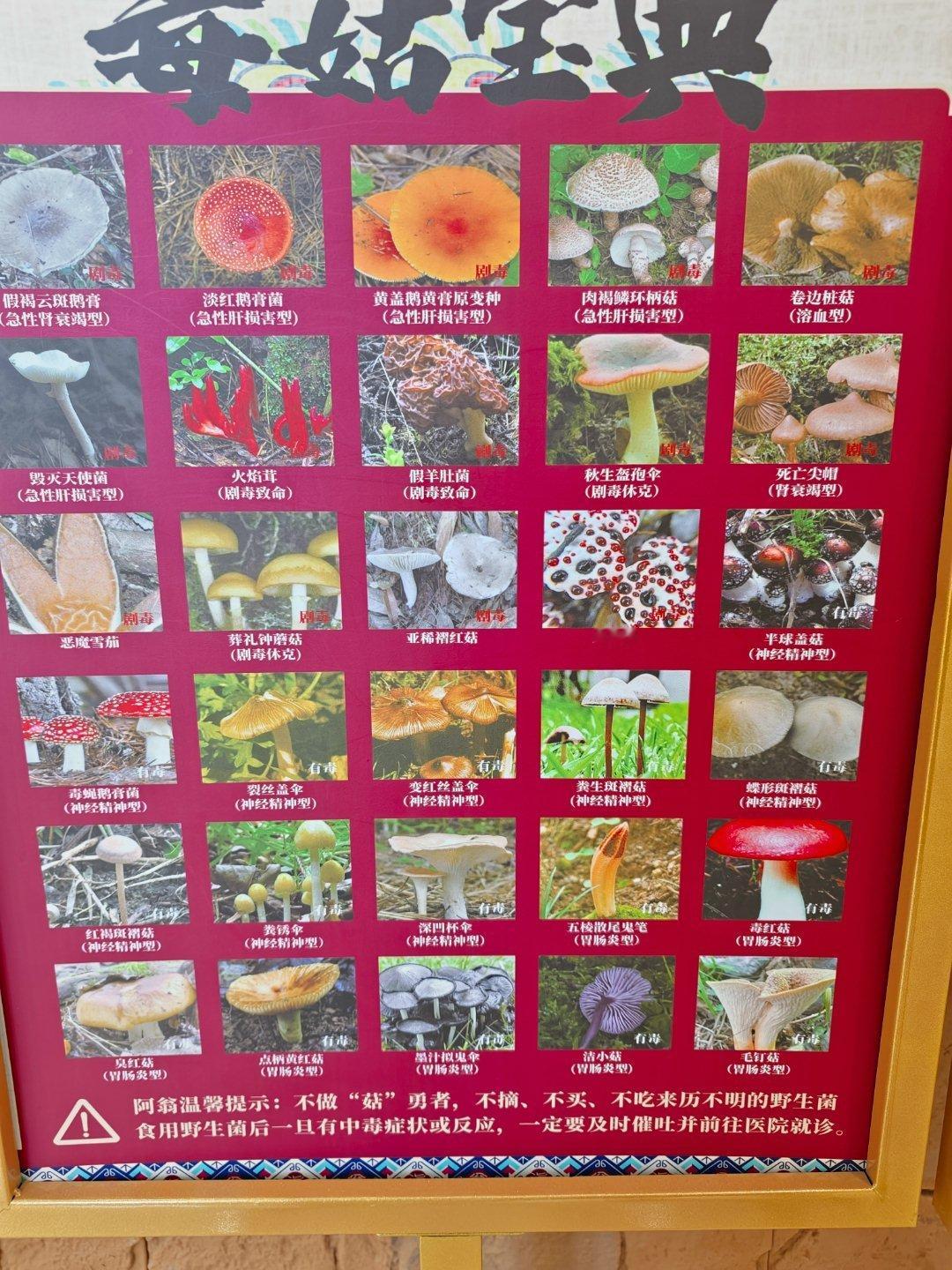 学校找找，一个五百呢​​​