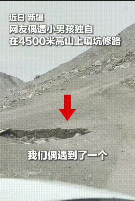 高原海拔四千多米，风刮得脸疼，一个小孩蹲在路中间，不走。司机本来以为前头出事了