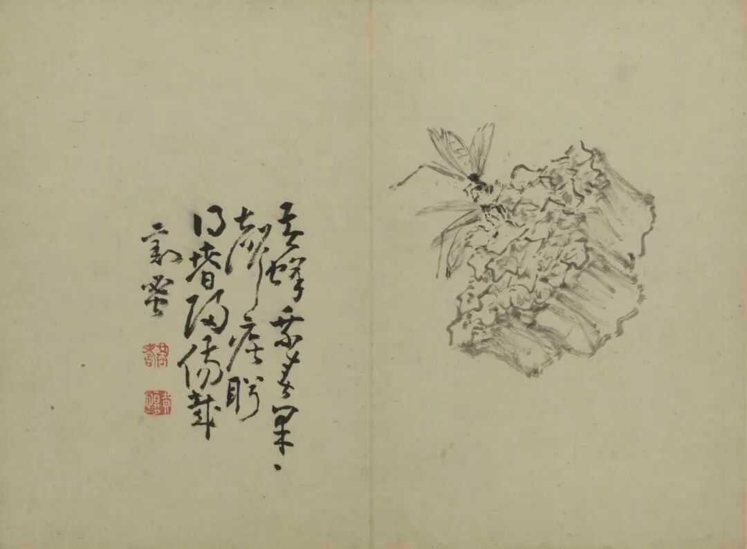 黄慎别有风味册。黄慎（1687年6月14日—1772年），初名盛，字恭寿、恭懋