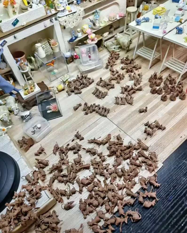 你知道我这一个月是怎么过的吗
