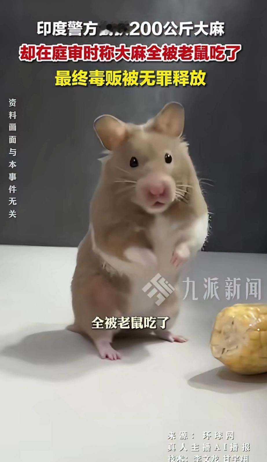 印度警方截获200公斤大麻，却在庭审时大麻全被老鼠吃掉了。“最终毒贩被无罪释放