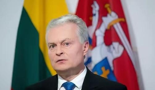 就在立陶宛总理连夜认怂，准备亲手摘下“台湾代表处”招牌时，总统瑙塞达却突然调转枪