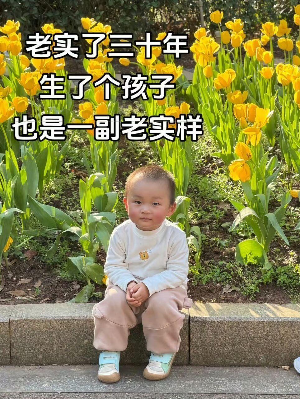 怪不得都说谁养的像谁哈哈哈