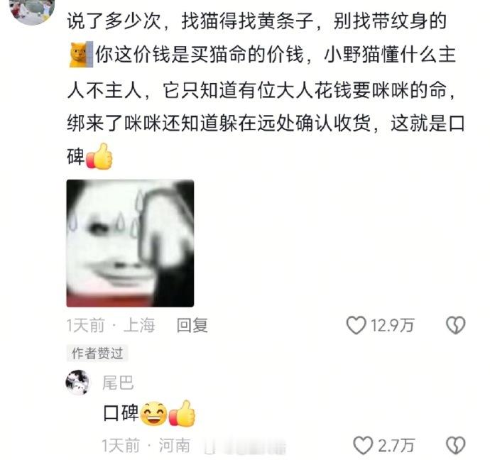 当主人悬赏狸花猫找家猫…​​​