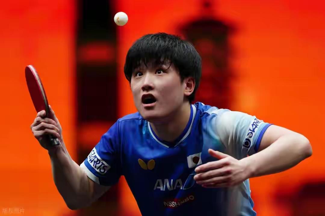 恭喜张本智和获得WTT总决赛男单冠军，这个冠军的含金量十足啊……！张本智和4