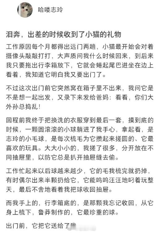 出差的时候收到了小猫的礼物