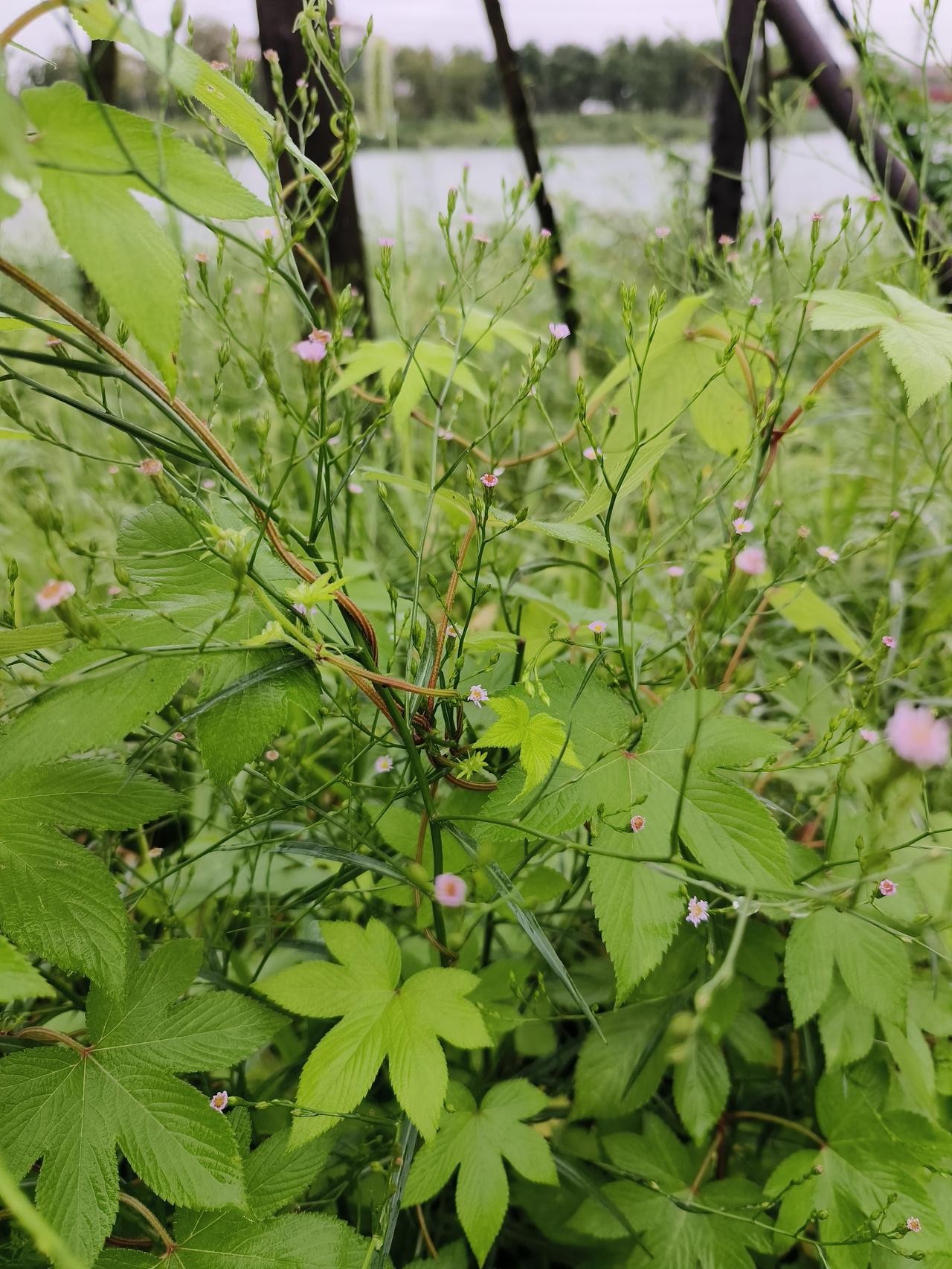 真正深爱过的人断联以后就非常的绝情，不再联系。别人看似很冷漠，非常的绝情，只有