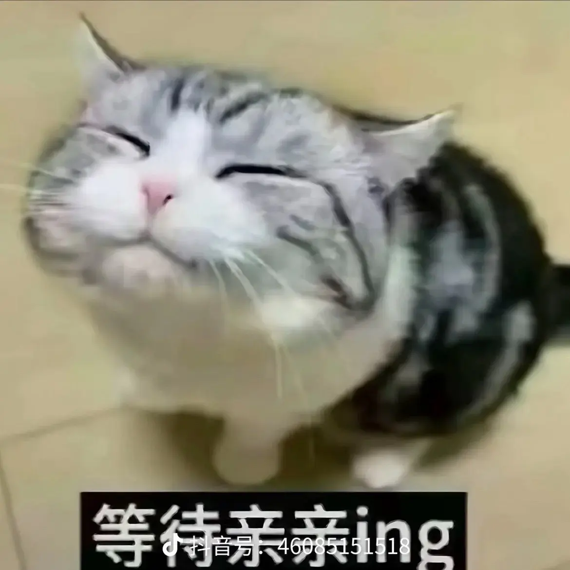 甜妹cos日常