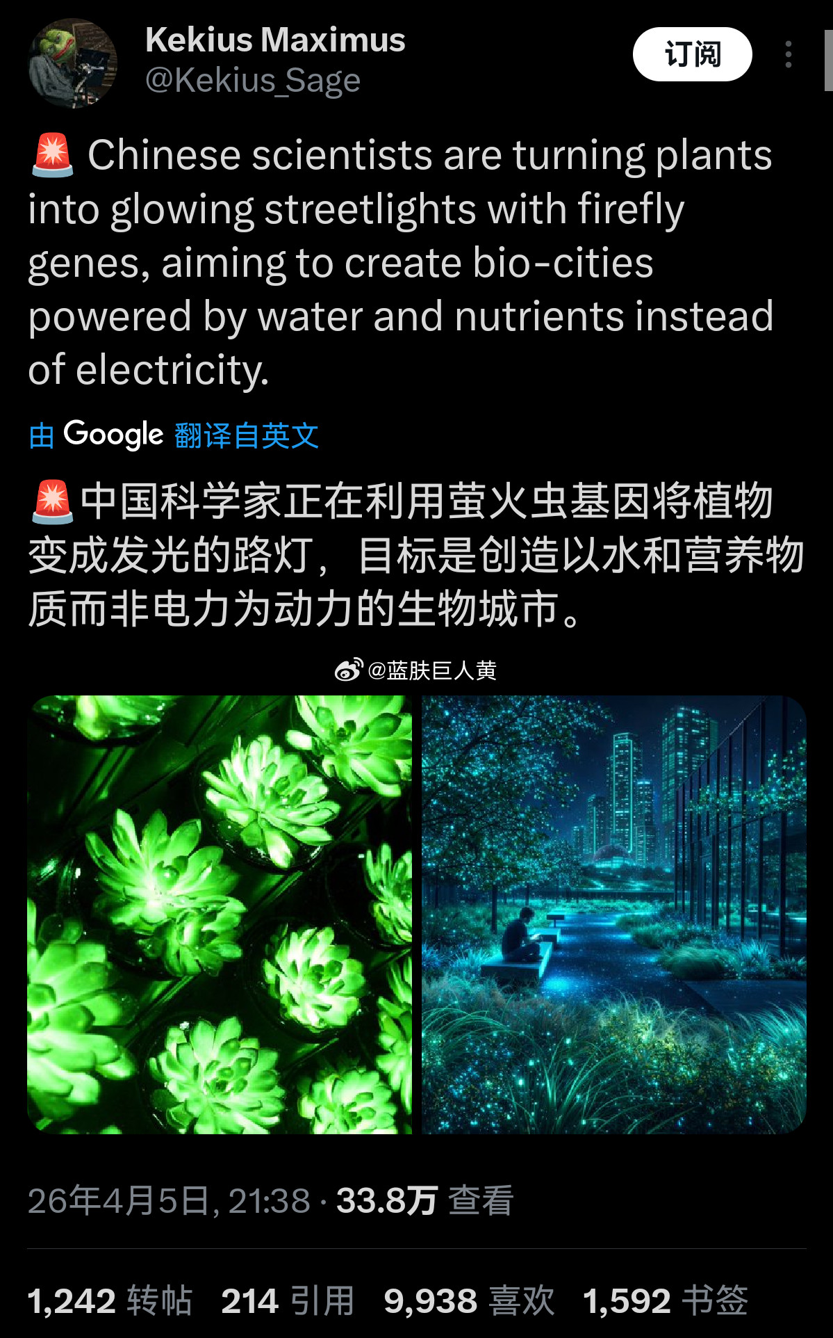 外网热议：中国科学家正在利用萤火虫基因使植物发光