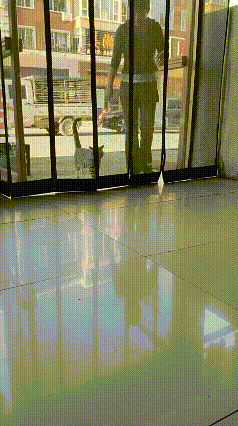 一眼就懂！狸花猫撩帘子进门，这熟练模样：我到家啦😂这只狸花猫进门撩帘子的
