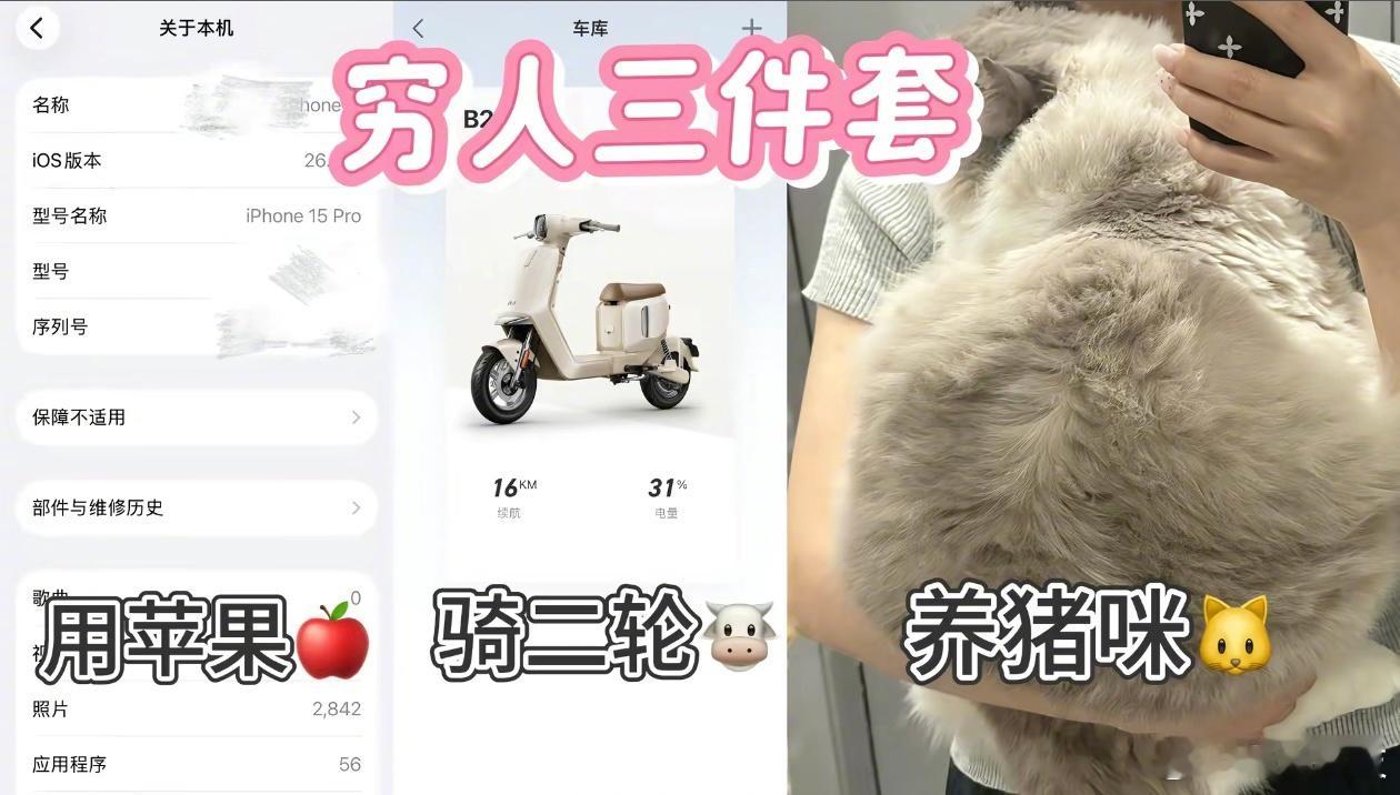 最近很火的新穷人三件套。