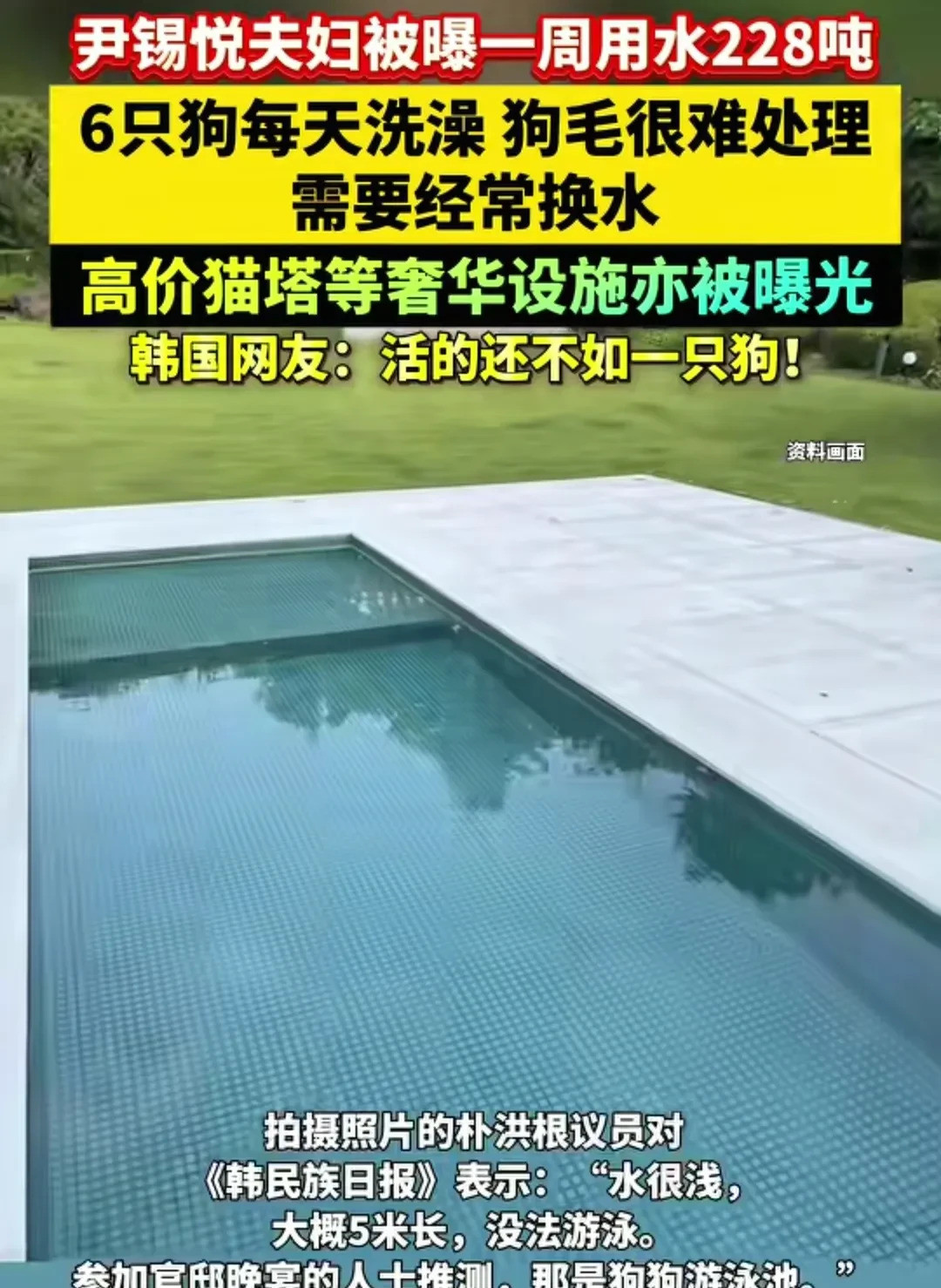 尹锡悦夫妇养狗太费水有没有搞错！一看到这新闻，血压直接飙