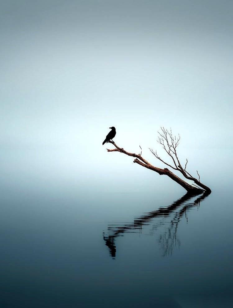 病床前见得多了，才琢磨明白一件事。人这一辈子，到头来拼的就两样东西。不是什么