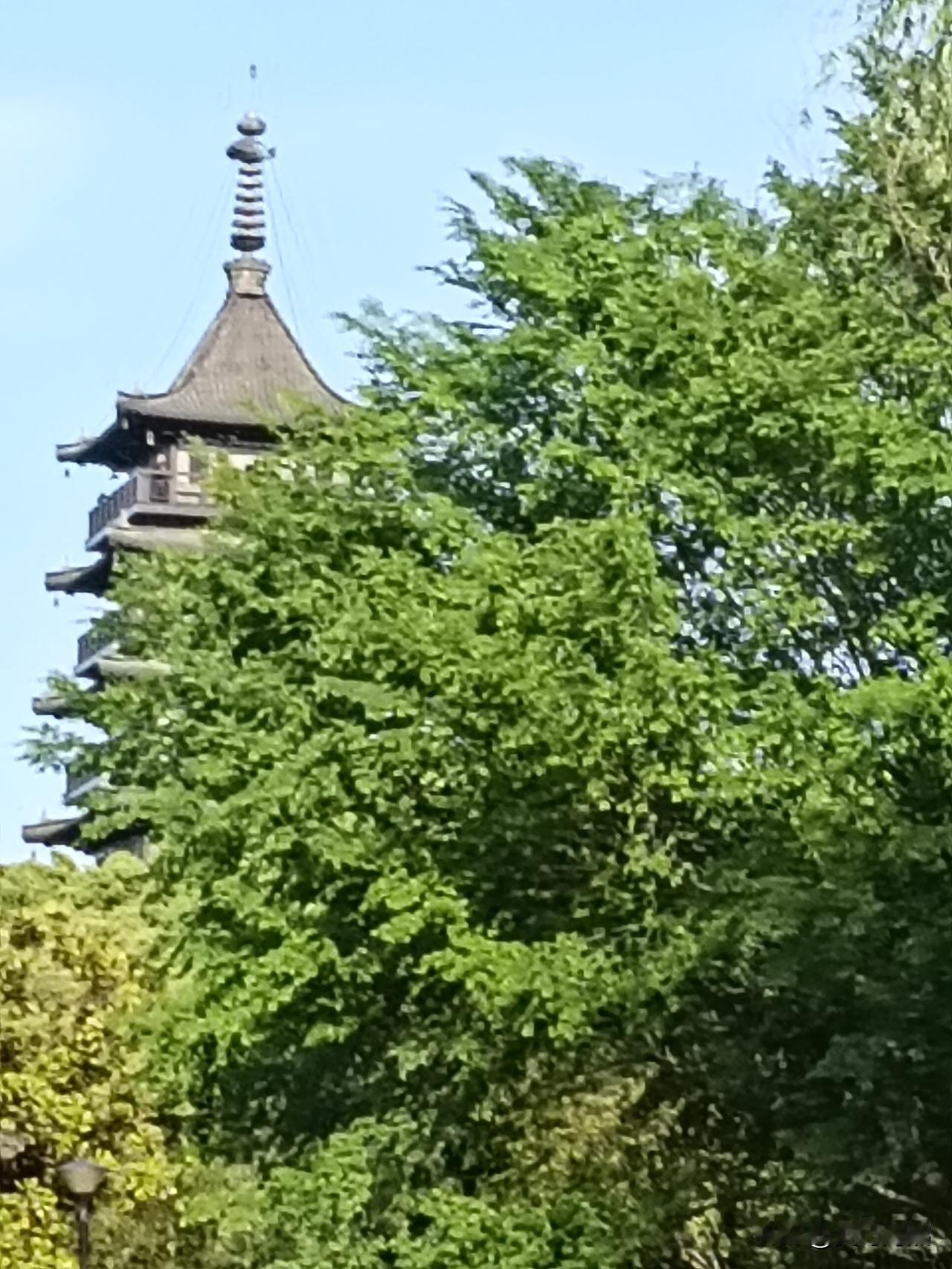 我真服了我闺蜜！她的公公婆婆退休金加起来快小一万了，不肯掏钱给她们，她一气之