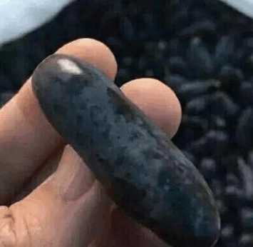 老婆在集市上买回这样的水果, 你们认识吗?
