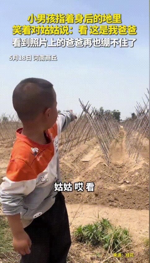 “泪目了！”河南商丘，一4岁男孩笑着用手指向田地里，给姑姑介绍自己的爸爸，本以为
