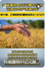 2025年12月22日审计署披露的整改报告，16省175县针对此前