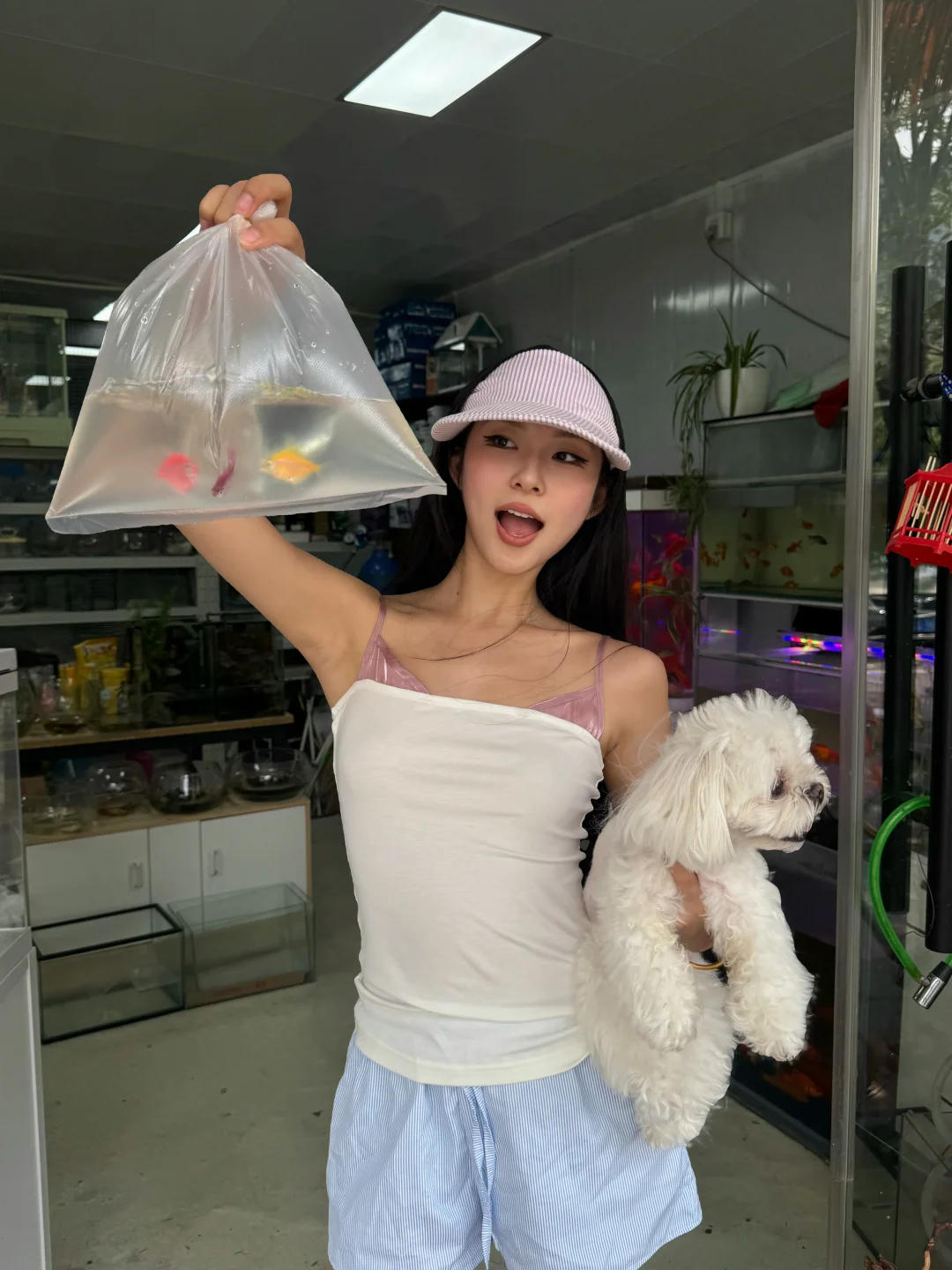 请问这种小鱼该怎么养！🐟🐠🐡