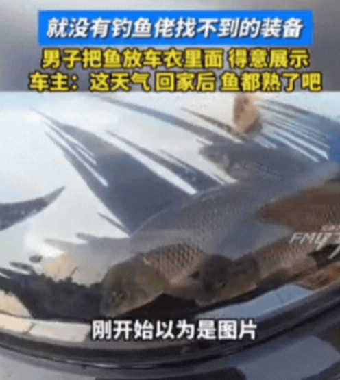这钓鱼佬火了！”辽宁，男子钓了4条大鱼，想要好好嘚瑟一下，竟然将4条鱼放进了车衣