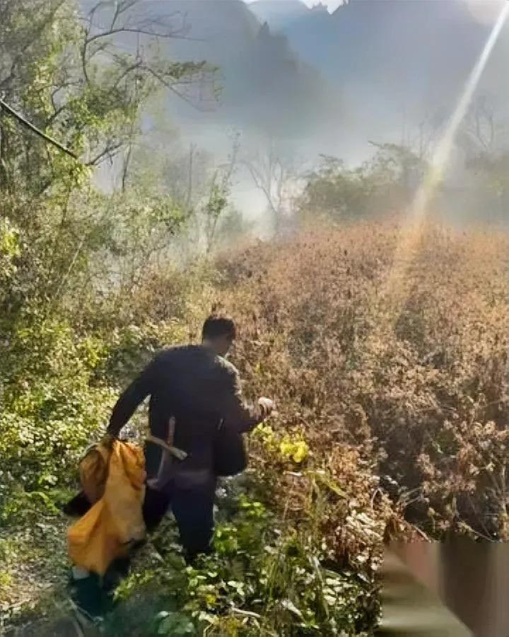 建哥要夺冠？因为他摸到了“荒野粮库”！不是山药不是拐枣，是种能“存60天