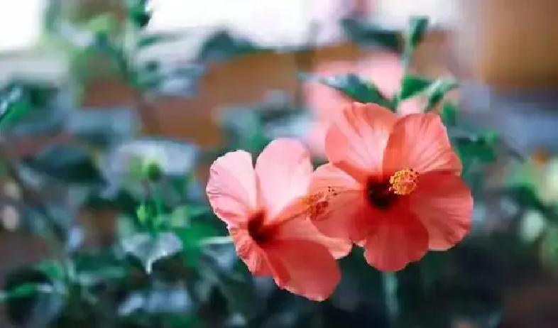 30岁以后，心动这事儿来得更突然，尤其在中年阶段，一眼看到某人或某样东西，身体先