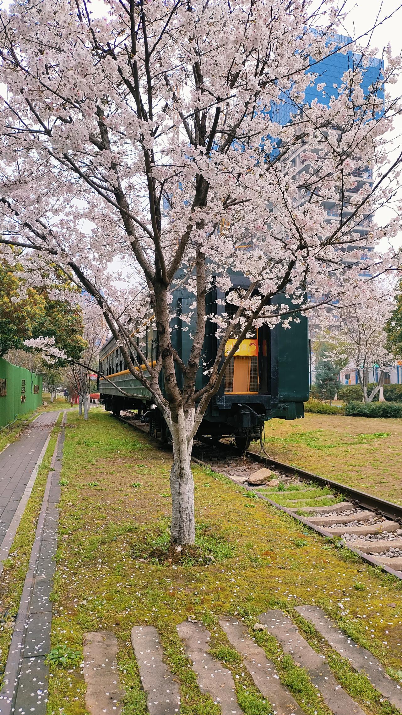 人到中年在婚姻中老公的事睁一只眼闭一只眼。他是个成年人，可以为自己的