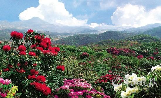 节后重磅会议预告与板块机会探讨！节后重磅会议信息如下：据媒体消息，第十四届中