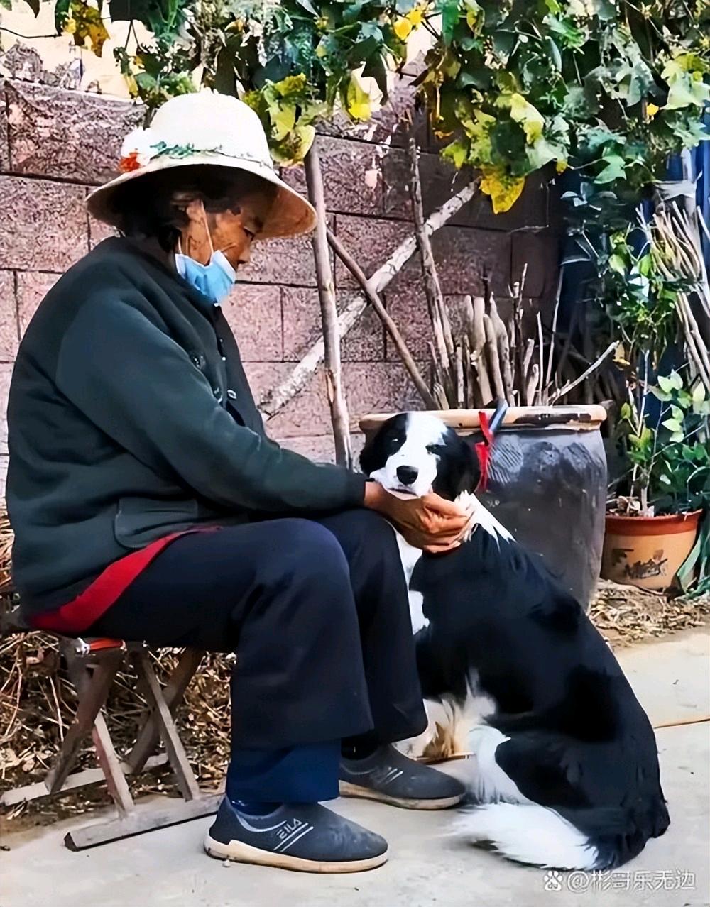 奶奶家养了一条大黑狗，这天一个乞丐讨水喝，看见院子里的狗后大喊：老姐姐，这狗不对