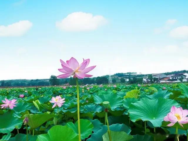 有位经济学家说：“赚钱的尽头是为了安静，最终目的是为了远离人群而不是合群。高档