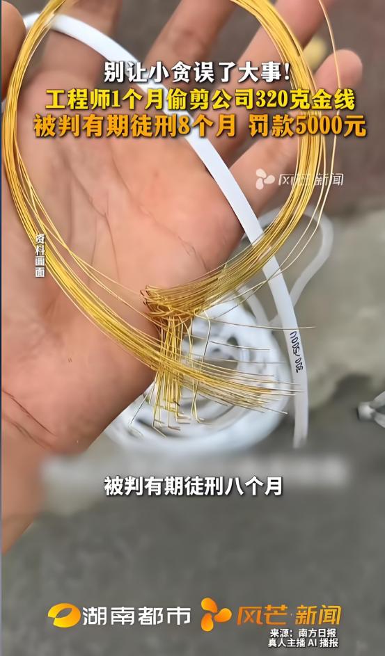 胆大包天！福建厦门一工程师调试设备时“蚂蚁搬家”，每次只剪3-5厘米纯金导线藏手