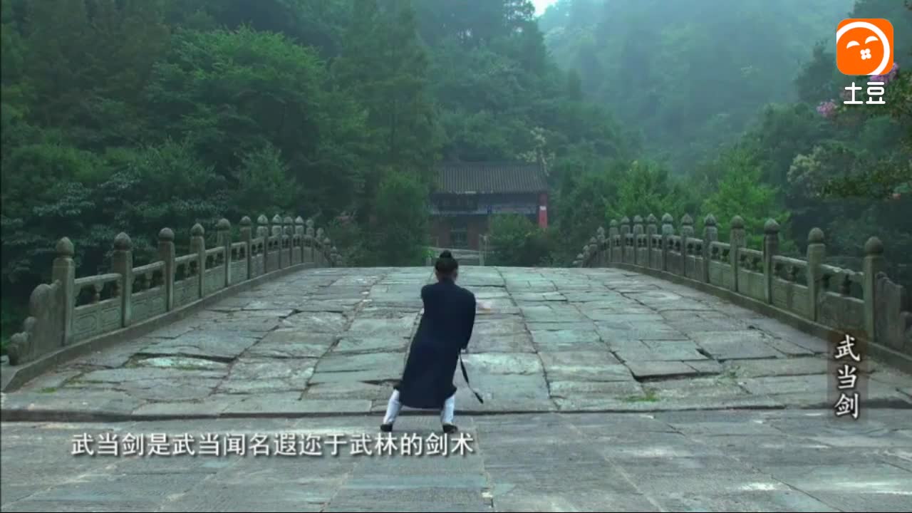 武术视频 武当玄武拳