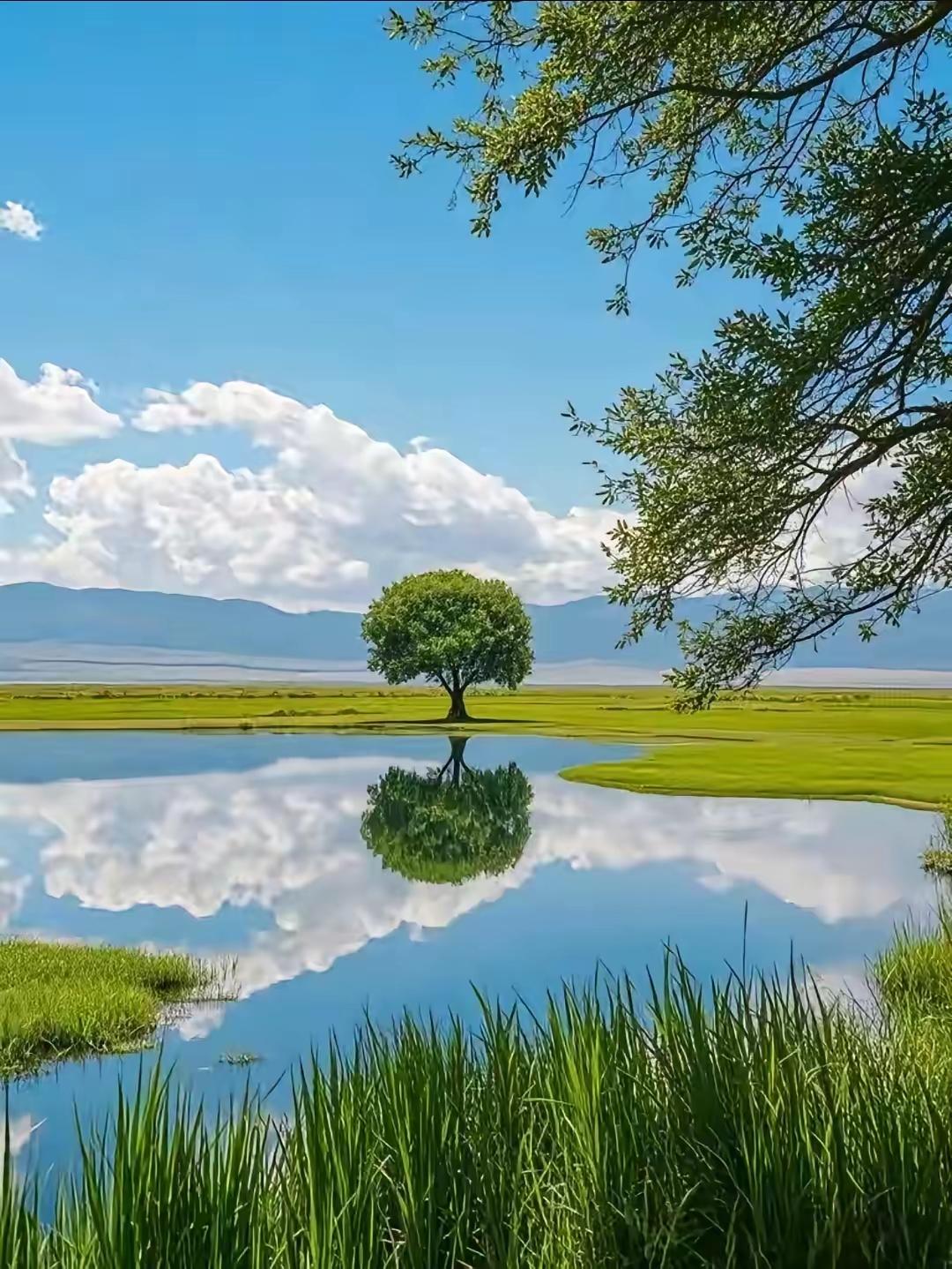 我懂了那些教育专家嘴上喊着减负实则是把教育压力转嫁给家长的高明套路