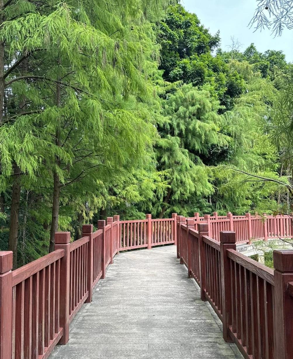 我那位47岁的同事，走了。她是我们办公室里最注重养生的人，一个坚定的素食主义者