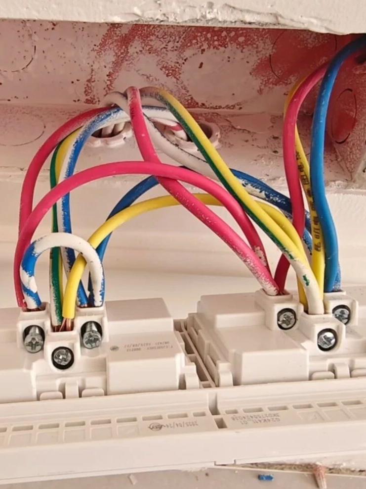 新手电工犯迷糊啦！刚独立作业的新电工小李接了个开关板，他反复检查、仔细研判，