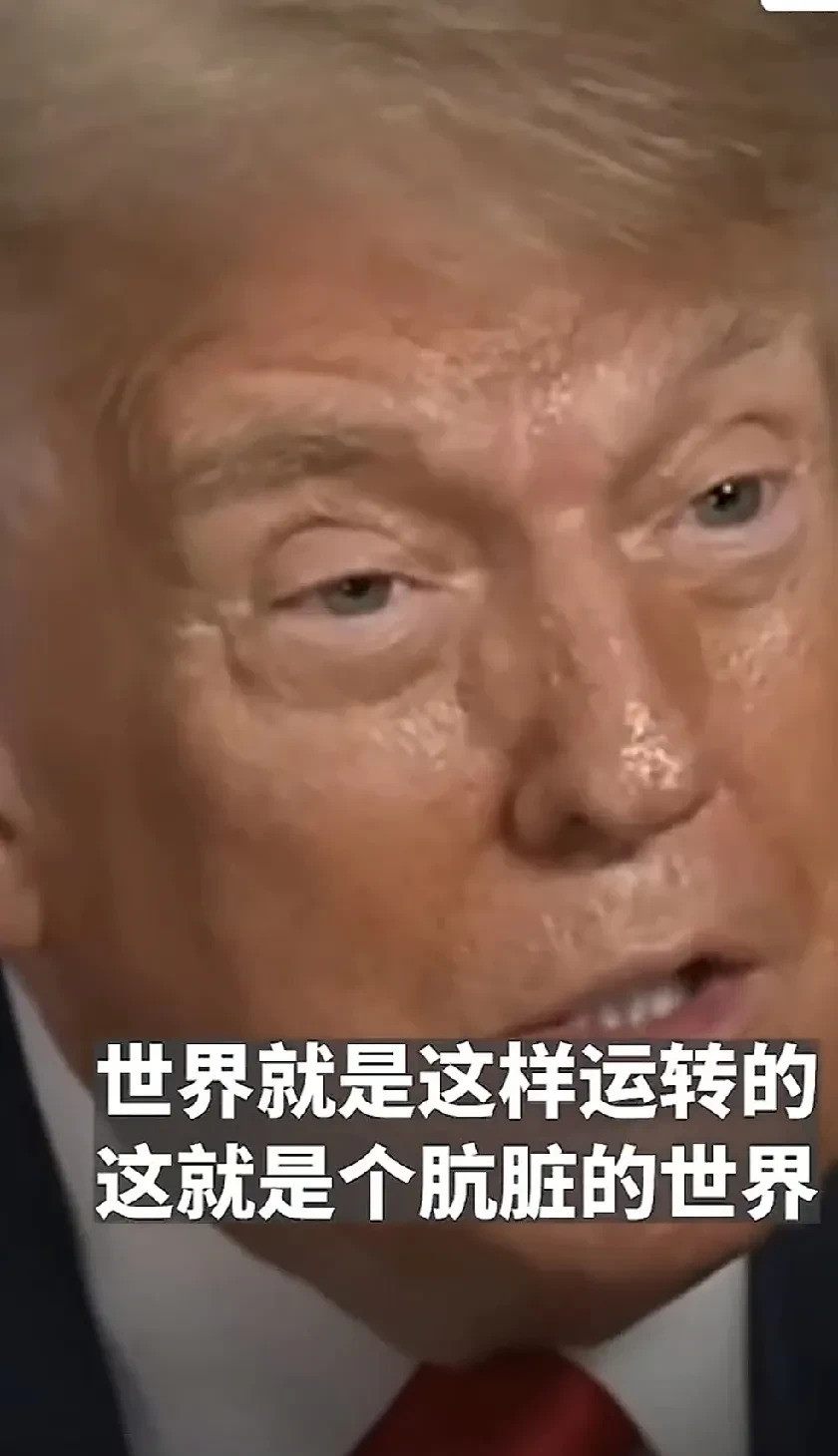 金毛真相了！世界肮脏，实力说话世界真让人无语！金毛一句话