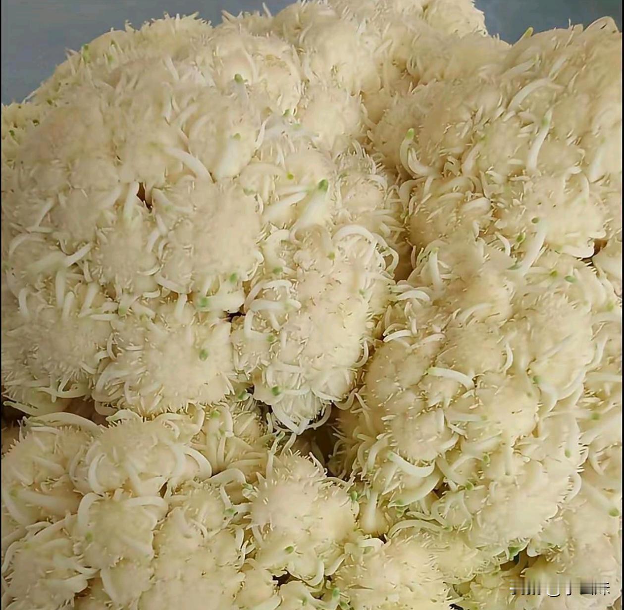 菜花在冰箱放了四天，拿出来这样还能吃吗？