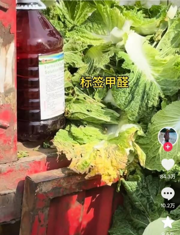 白菜蘸甲醛流入市场！老百姓最平价的家常菜，为何最不让人省心？看完这段暗访视