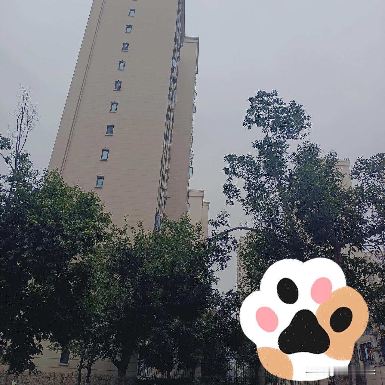 那个愿意呢今儿个这冷天儿简直是魔法攻击！现在也只有我走在上班路上，放眼望去连个