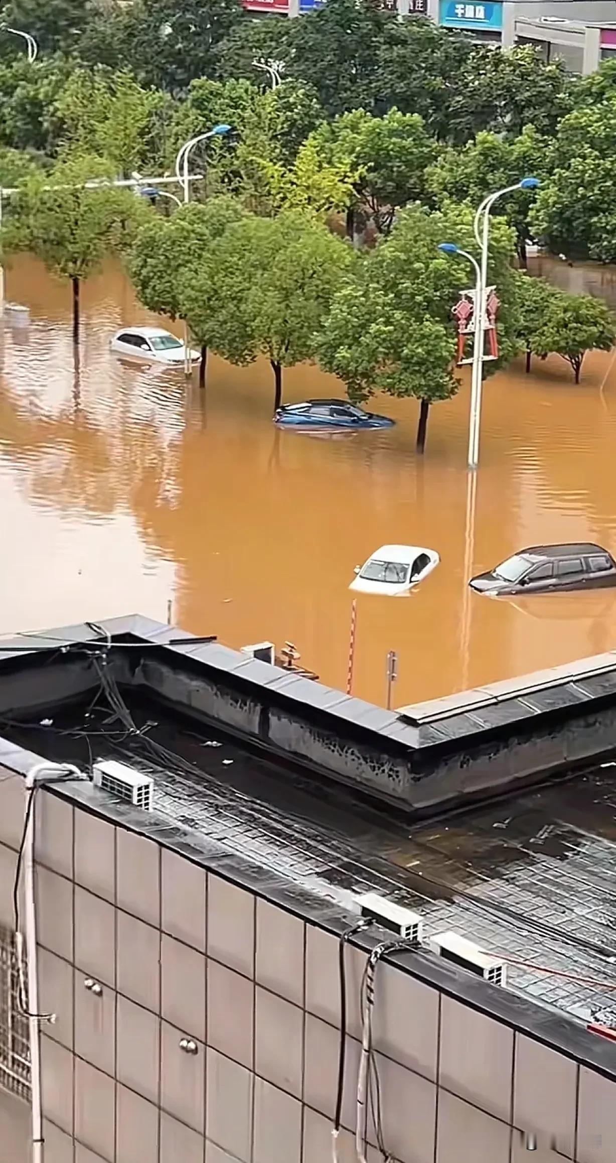 持续更新长沙暴雨后的状况经过昨晚暴雨过后今天早上的岳麓区含浦裕园小区马上到汽
