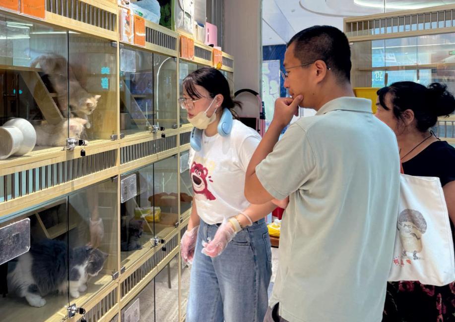 一位社会学教授直接开炮：宠物经济本质上就是堕落经济，是个毒瘤，危害甚至超过鸦片和